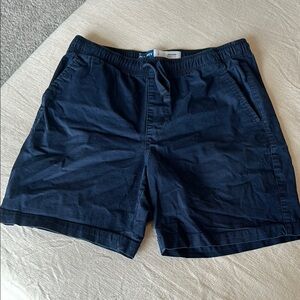 Old Navy Blue Flat Front Shorts
